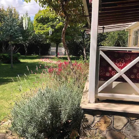 Büyük Aileler Ve Arkadaş Grupları Için Bahçeli Ev *