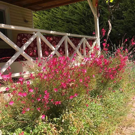 Büyük Aileler Ve Arkadaş Grupları Için Bahçeli Ev