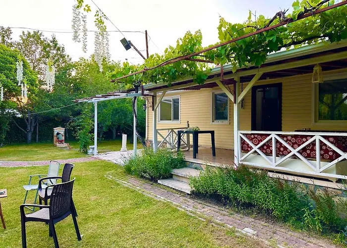 Bueyuek Aileler Ve Arkadas Gruplari Icin Bahceli Ev Meram