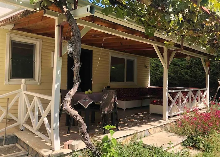 Bueyuek Aileler Ve Arkadas Gruplari Icin Bahceli Ev 别墅