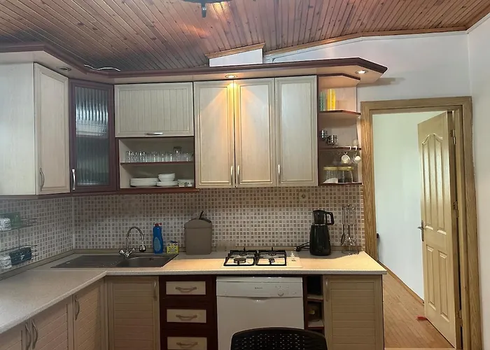 Bueyuek Aileler Ve Arkadas Gruplari Icin Bahceli Ev *