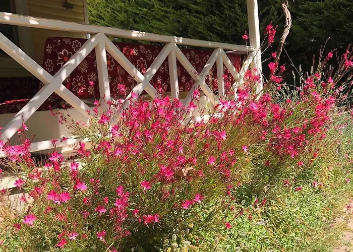 Bueyuek Aileler Ve Arkadas Gruplari Icin Bahceli Ev